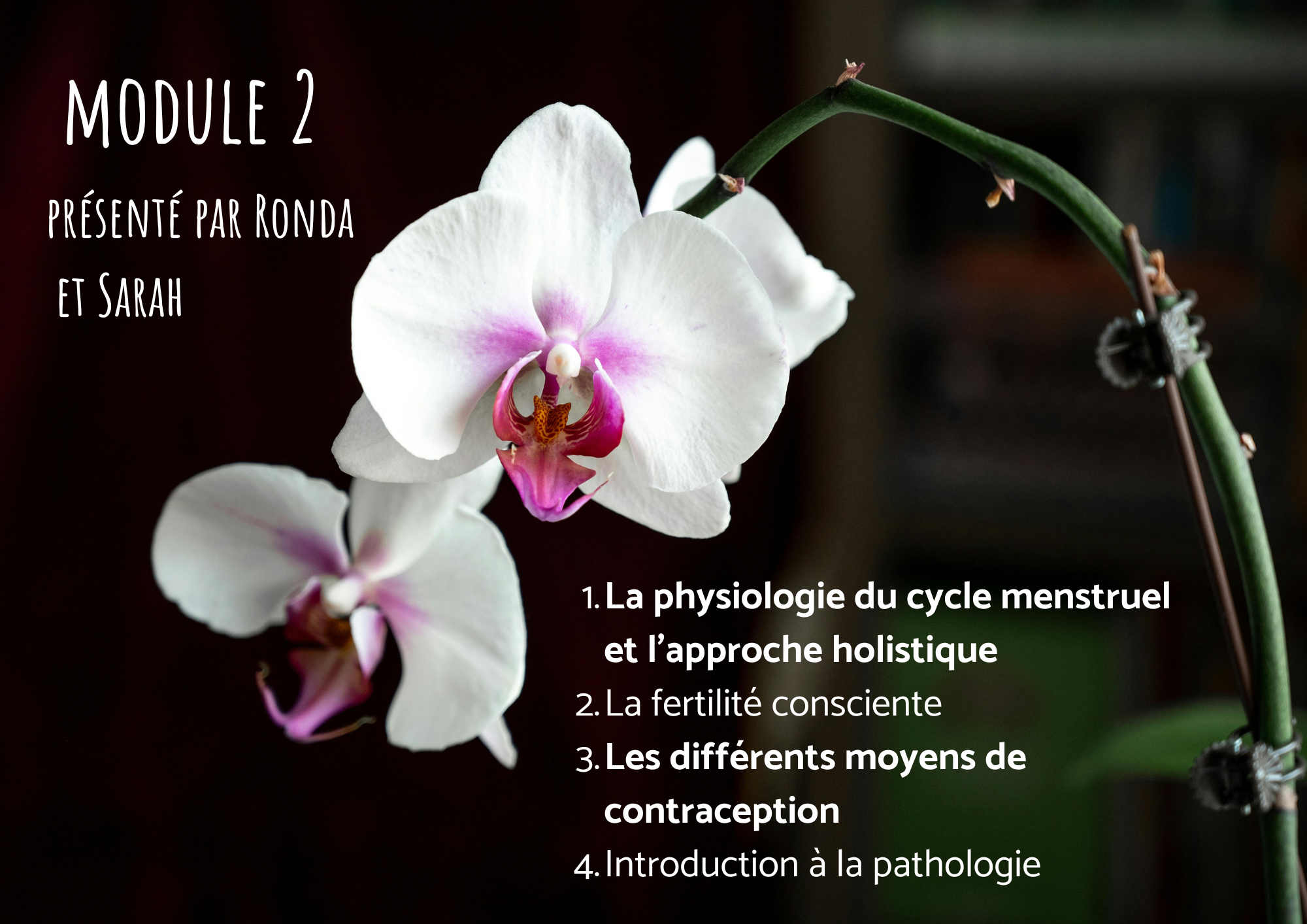 Protégé : Module 2